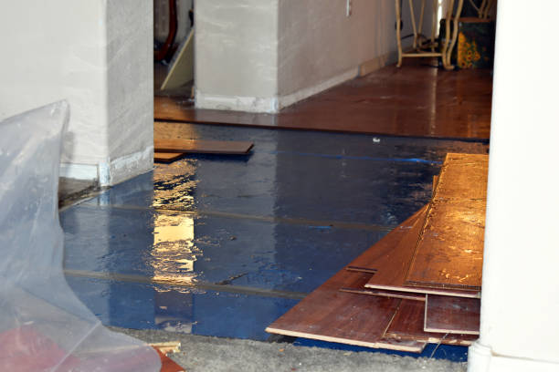 Professional Water Damage Restoration technician working in Somerville, TX